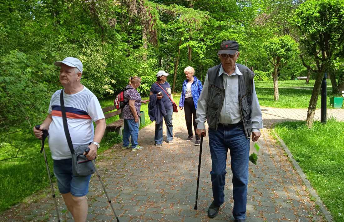Kąpiele leśne