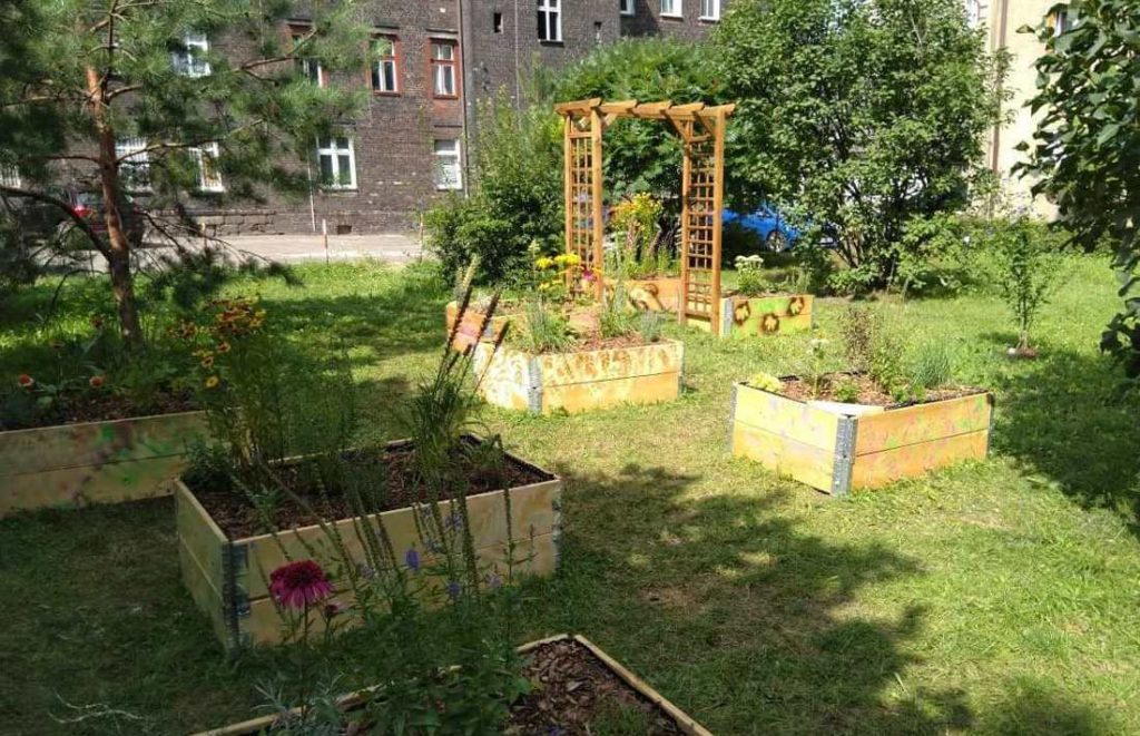 Ogród Społeczny w dzielnicy – piękna, zielona inicjatywa mieszkańców Zawodzia